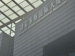 -鄂尔多斯国际大厦