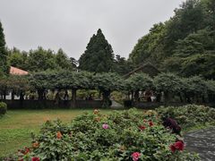 景点-庐山风景区花径公园