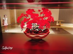-上海佘山世茂艾美酒店