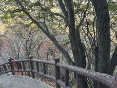 -秦岭终南山世界地质公园翠华山景区