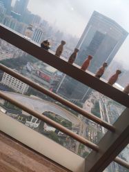 点击看大图 -JNK皮肤管理中心