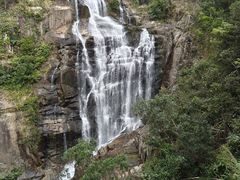 -海南热带雨林国家公园吊罗山景区