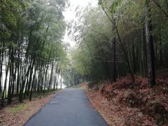 -苏州环秀晓筑养生度假村