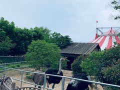 -无锡动物园·太湖欢乐园