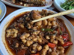 -坛南湾阿强农家乐.海鲜大排档老字号(福州地标美食店)