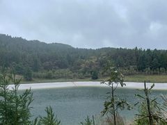 -武陵山森林公园