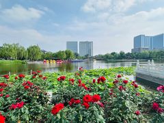 -西海子公园
