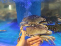 -粗茶淡饭·蒸鲜(光谷店)