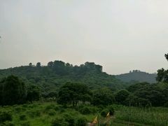 -顺风山庄(水濂山店)