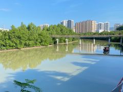 -金鸡岭桥头公园