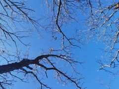 -帽儿山国家森林公园