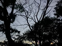 -北高峰
