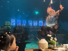 -海棠湾洲际-涛·海底餐厅·龙虾·牛排·美人鱼