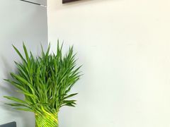 -惠耳听力助听器(赣榆东关路店)