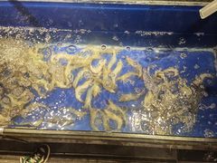 -深海壹品海鲜自助餐厅(吾悦广场店)
