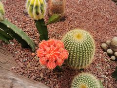 -南通洲际绿博园