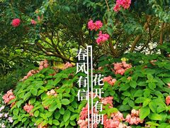 -云溪植物园
