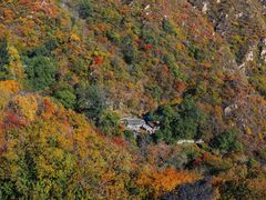 -大岭沟猕猴桃谷风景区