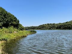 -大青沟风景区