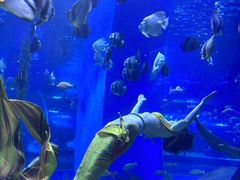 -顺德南宏海立方海洋公园