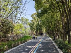 -同里国家湿地公园