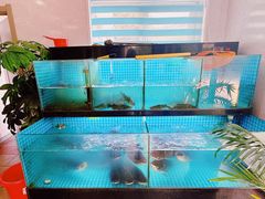 -翠茗农庄土菜馆(天目湖店)