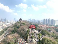 -黄鹤楼公园(黄鹤楼)