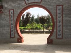 -神州牡丹园