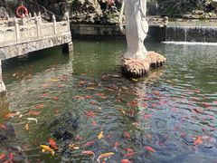 -红螺寺