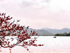 -西湖游船