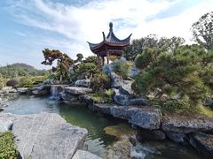 -东莞植物园