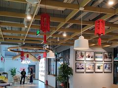 -道顺射箭·团建·骑射(张杨路店)
