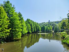 -小厨娘淮扬菜(六合欢乐港店)