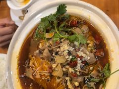 -鲍氏金勺子(恒大店)