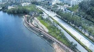 -金鸡岭桥头公园