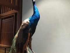 -庄隐阁(悠方广场店)