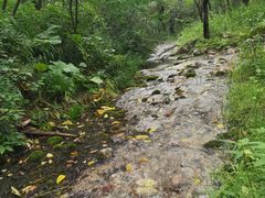 -玉渡山自然风景区