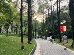 -广州珠江公园