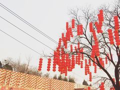 -太原动物园