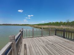 -天津东丽湖风景区