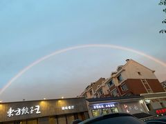 -东方饺子王臻味餐厅(新嘉坡城店)