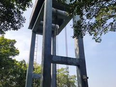 -大湾区中央湿地公园