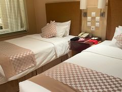 -电谷雅阁国际大酒店