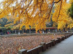 -四川大学(华西校区)