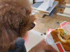 -麦当劳(朝阳路得来速店)