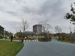 -南汇新城城市公园