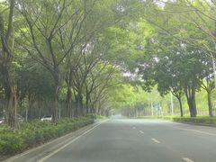 -南宁荔园维景国际酒店·荔园中餐厅