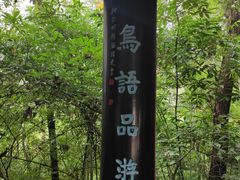 -潜山国家森林公园
