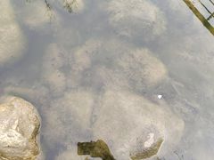 -九里河湿地公园