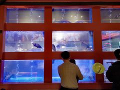 -东富酒家(龙湖西溪天街店)
